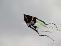 Chinese Kite - Fish