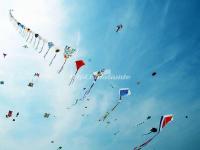 Chinese Kites