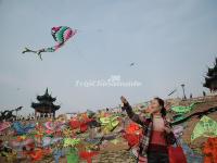 Flying Chinese Kites