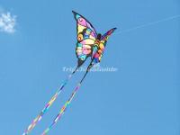 Chinese Kite - Butterfly