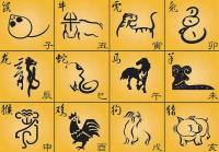 Chinese Zodiac Animals