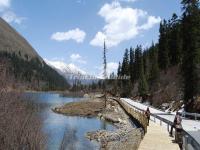 Dagu Glacier Scenery 