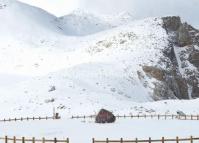Dagu Glacier China