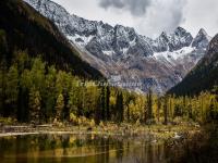 The Glaciers and Forest in Dagu Glacier National Park 