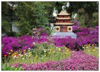 Daguan Park Beautiful Scenery Kunming 