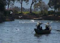 Grand View Garden Boat Kunming 