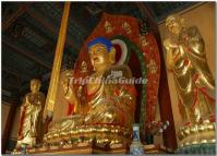 The Statue of Sakyamuni in Datong Upper Huayan Temple