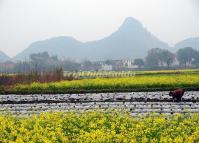 Daxu Town Guilin