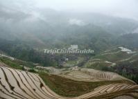 Rice Terraced Fields of Longsheng China 