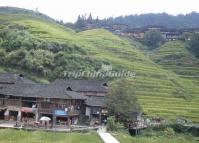 Dazhai Village Folk House Longsheng 