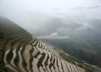 Rice Terraced Fields in Longsheng Guilin