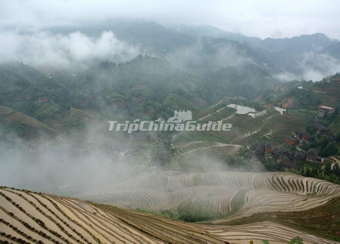 Longsheng Jinkeng Rice Terraces