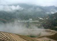 Rice Terraced Fields China
