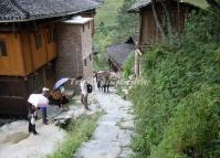 Dazhai Yao Village Longsheng