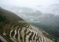 The Rice Terraces in Dazhai Village, Longsheng, China