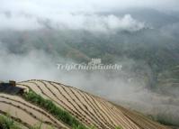 Rice Terraced Fields Longsheng Dazhai 