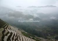 Charming Longji Rice Terrace Longsheng 
