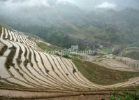 Rice Terraces Fields in Dazhai Village, Longsheng, China