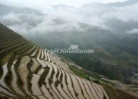 Rice Terraced Fields of Longsheng 
