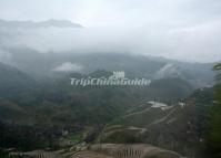 Attractive Longji Rice Terrace Longsheng 
