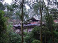 Dazu Rock Carvings