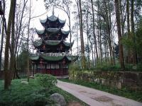 Dazu Rock Carvings