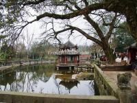 Dazu Rock Carvings