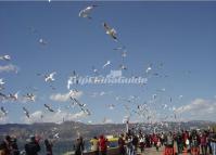 Dianchi Lake Kunming China