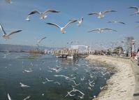 The Dian Lake in Kunming 