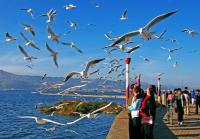 Kunming Dianchi Lake