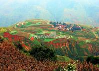 The Red Green Land in Dongchuan Kunming China