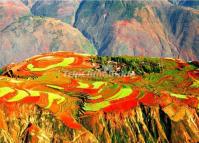 Dongchuan Red Land China