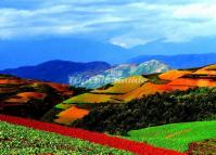 Red Land at Dongchuan Kunming 