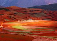 Kunming Dongchuan Red Land