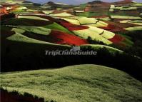 The Beautiful Dongchuan Red Land in Kunming Yunnan China