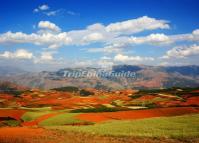 The Beautiful Red Land in Dongchuan County of Kunming 