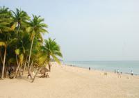  Dongjiao Coco Forest Haikou