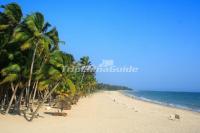 Charming Dongjiao Coconut Plantation Haikou China