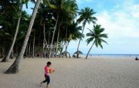 East Coconut Grove Haikou
