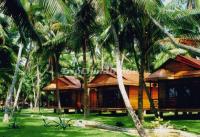 Log Cabin at Dongjiao Coconut Plantation China