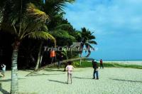 Dongjiao Coconut Plantation and Sand Bank Haikou China