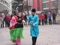 Donkey Dance in the Street