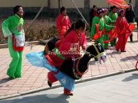 Chinese Donkey Dance