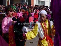 Chinese Donkey Dance Show 