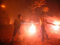 Dragon Dance