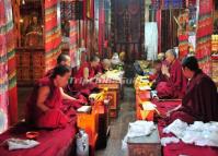 The Monks are Praying at Drepung Monastery