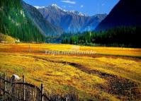 Dry Sea Scenery Lijiang  in Autumn Lijiang 