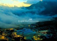 Duoyishu Rice Terraces in Misty Day