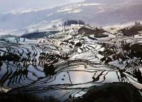 Charming Duoyishu Rice Terraces