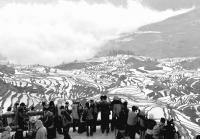 Duoyishu Rice Terraces in Winter